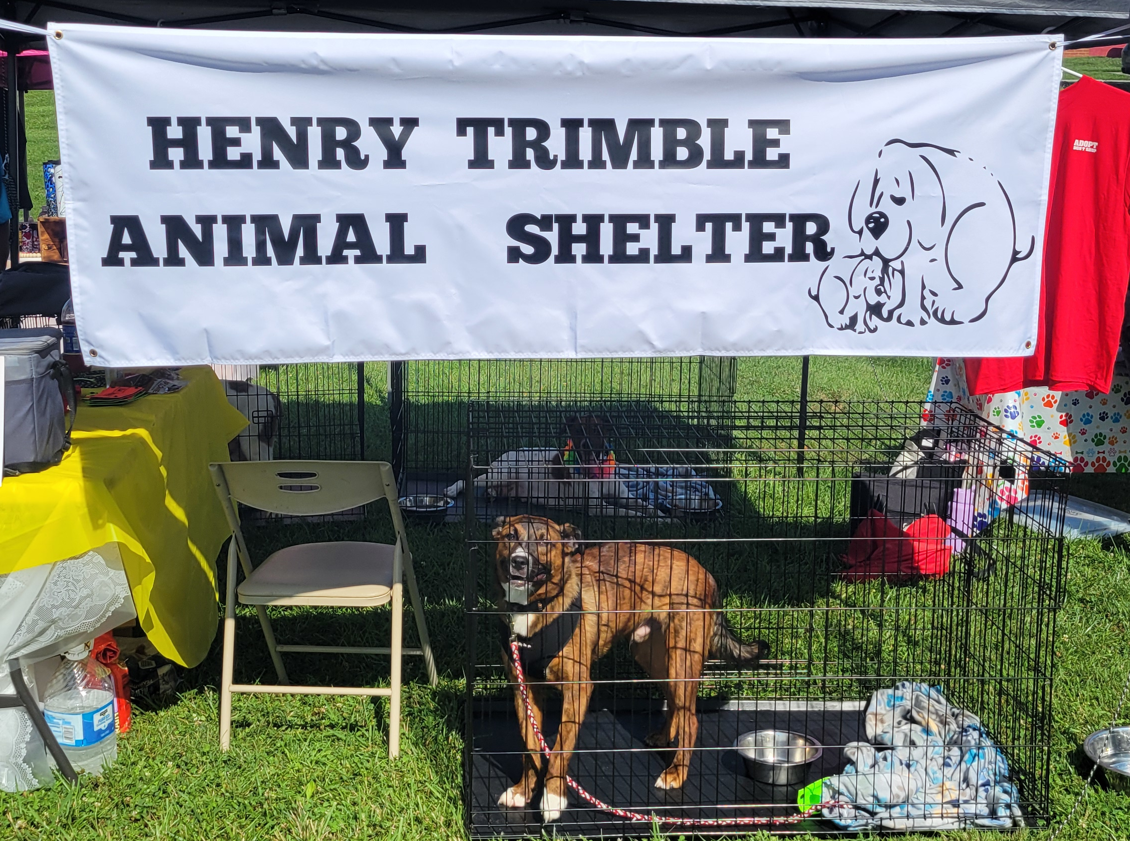 Henry Trimble Animal Shelter Volunteer Opportunities