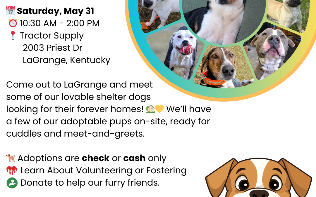 Tractor Supply Adoption Event
