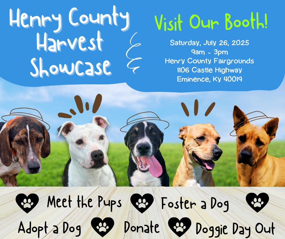 Henry County Harvest Showcase