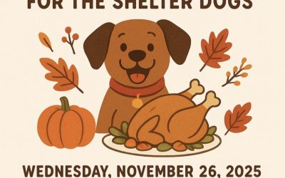 Thanksgiving for the Shelter Dogs