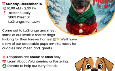 Adoption Event at Tractor Supply